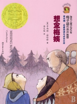 想念梅姨封面图