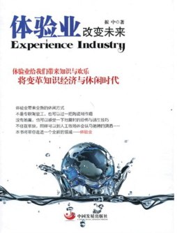 中国式体验经济封面图