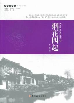 烟花四起封面图