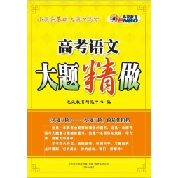 高考语文大题精做封面图