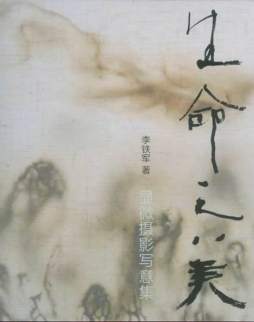 生命之美封面图