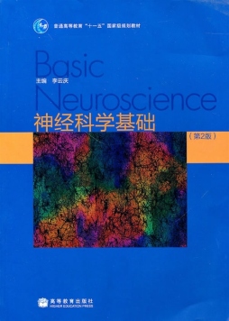 神经科学基础封面图