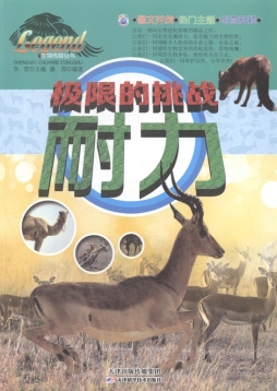 极限的挑战——耐力封面图