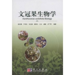 文冠果生物学封面图
