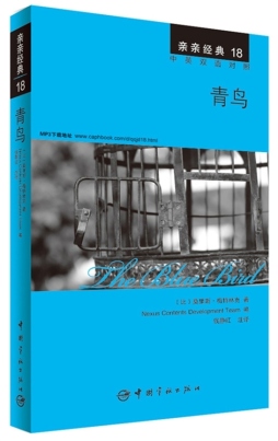 青鸟封面图