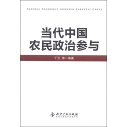 当代中国农民政治参与封面图