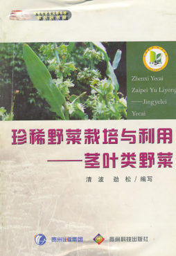 珍稀野菜栽培与利用封面图