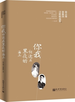 你我相逢在黑夜的海上封面图