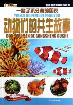 一辈子不分离的朋友封面图