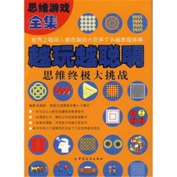 越玩越聪明封面图