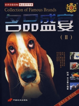 名品盛宴封面图