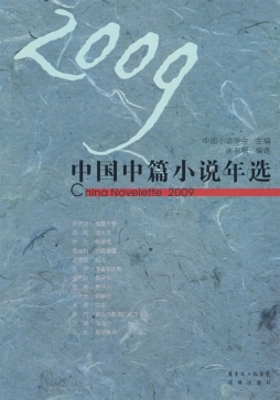 2009中国中篇小说年选封面图