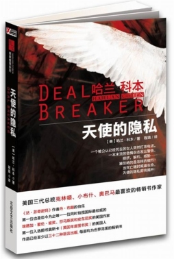 天使的隐私封面图
