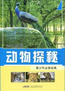 动物探秘封面图