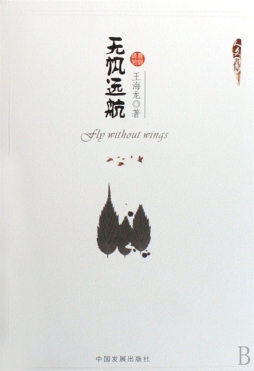 无帆远航封面图