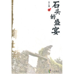 石头的盛宴封面图