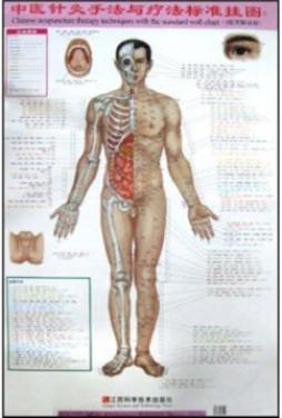 中医针灸手法与标准疗法封面图