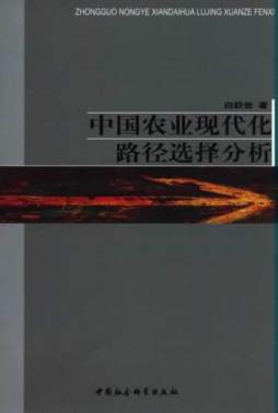 中国农业现代化路径选择分析封面图