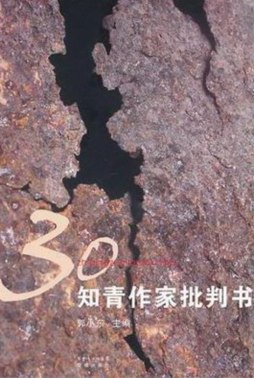 30知青作家批判书封面图