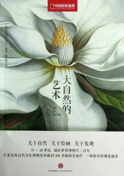 大自然的艺术封面图