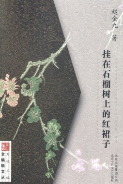 挂在石榴树上的红裙子封面图