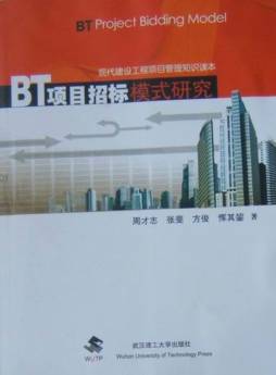 BT项目招标模式研究封面图