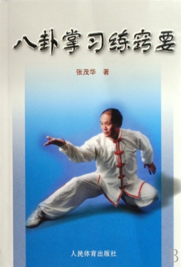 八卦掌习练窍要封面图