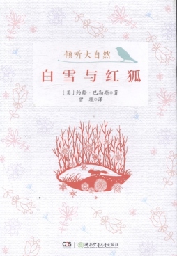 白雪与红狐封面图