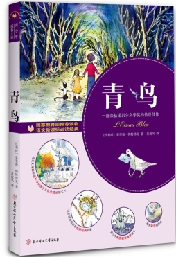 青鸟封面图