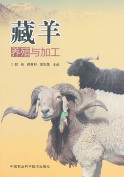 藏羊养殖与加工封面图