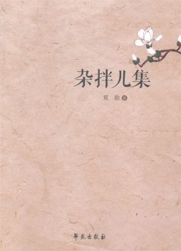 杂拌儿集封面图