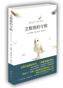 卫斯理的守候封面图