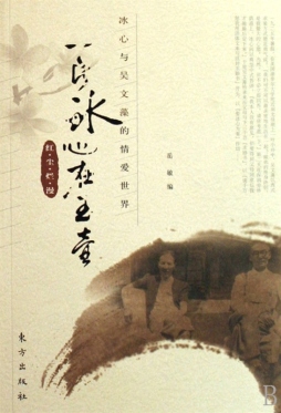 一片冰心在玉壶封面图