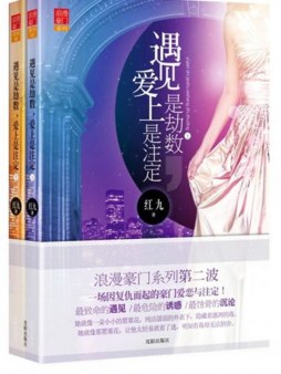 遇上是劫数，爱上是注定封面图