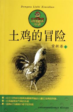土鸡的冒险封面图