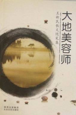 大地美容师封面图