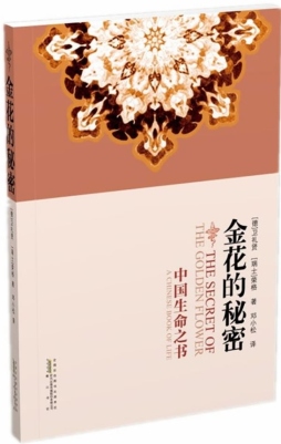金花的秘密封面图