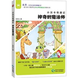 神奇的魔法师封面图