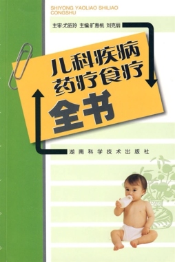 儿科疾病药疗食疗全书封面图