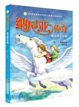 魔法师的外甥封面图