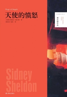 天使的愤怒封面图