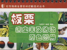 板栗病虫害及防治原色图册封面图