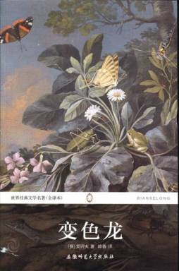 变色龙封面图