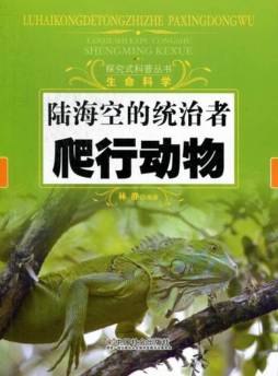 陆海空的统治者封面图