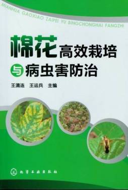 棉花高效栽培与病虫害防治封面图