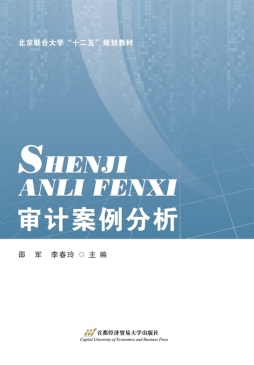 审计案例分析封面图