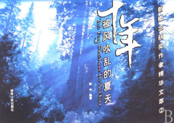 十年——被风吹乱的夏天封面图