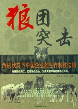 狼团突击封面图