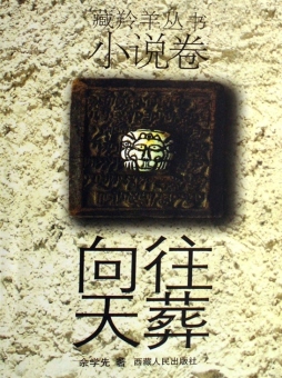 向往天藏封面图