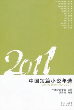 2011中国短篇小说年选封面图